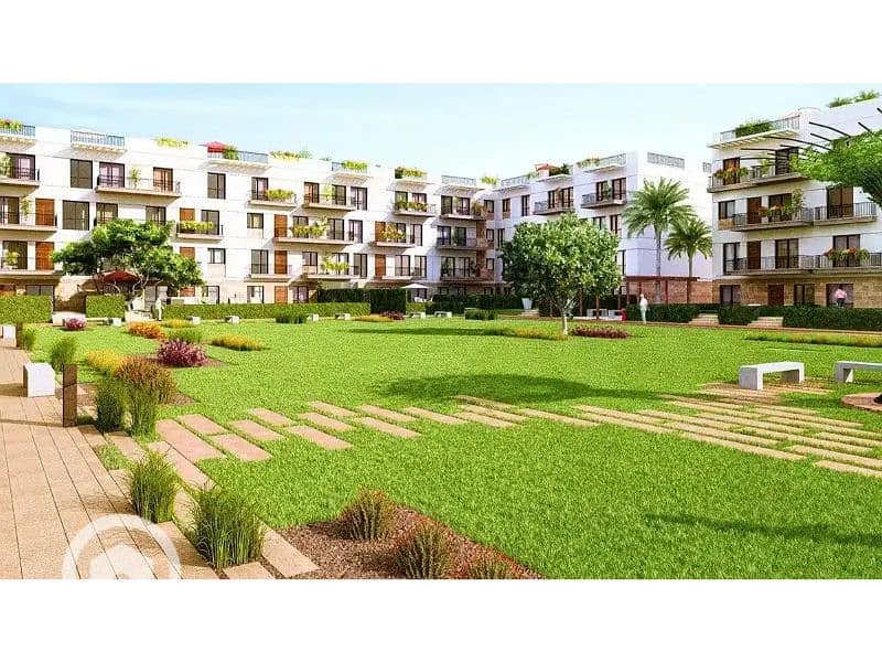 10 الشيخ زايد. jpg