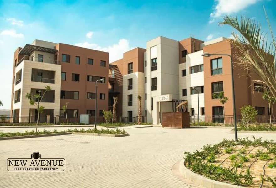 3 c9531e30-534e-43de-aaca-42d9f3e5445f. jpg