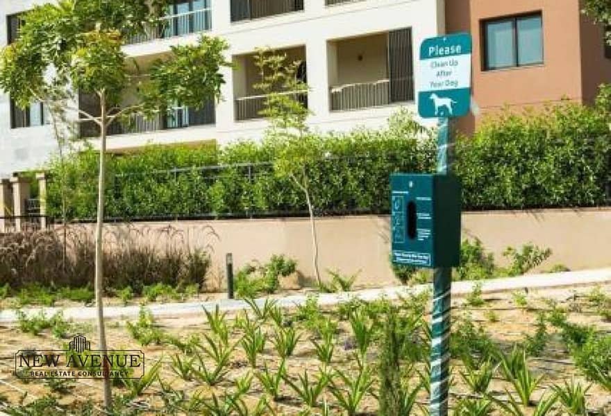 7 8e4dea2d-6e09-4293-a2e5-8120c81a9ca7. jpg