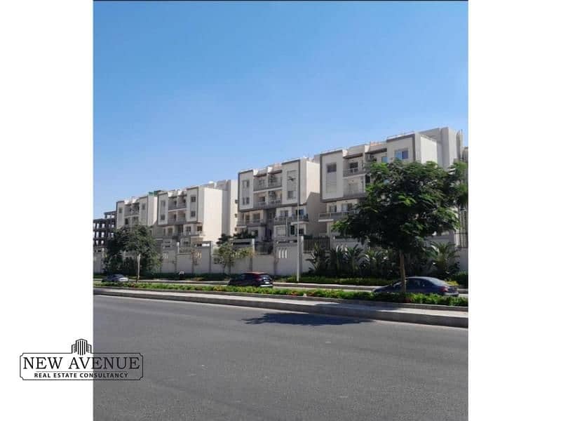 3 WhatsApp Image 2025-10-27 at 16.28. 13_3b2d96cb. jpg