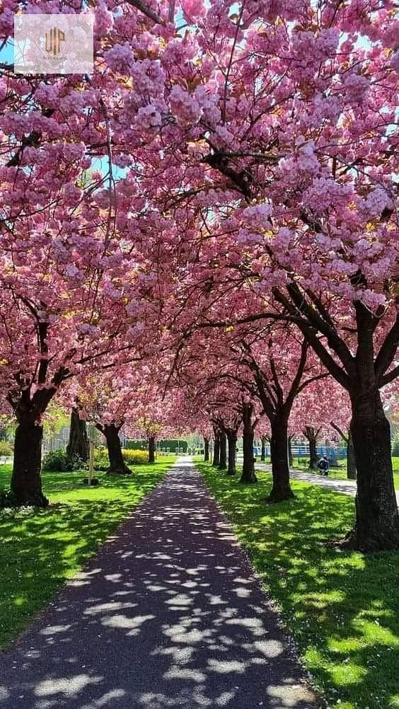 10 IMG-20251011-WA0839. jpg