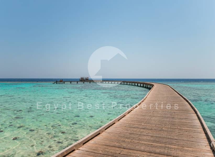 8 d11069b6-570c-47bc-b962-6791177f4b7c. jpeg