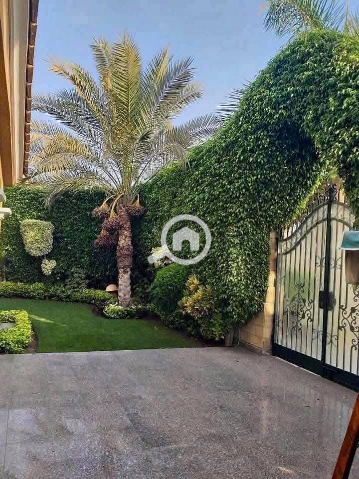 9 WhatsApp Image 2025-06-11 at 3.11. 36 PM. jpeg