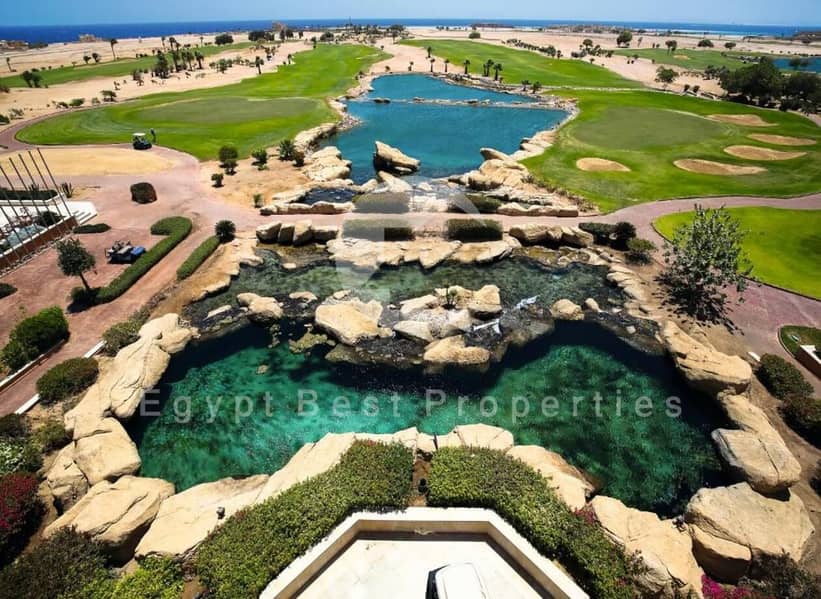 10 aaf3a3a1-05d9-41d2-8481-aa98082b7b50. jpeg