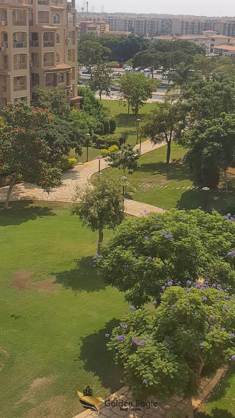 1000179036. jpg 1000179036. jpg