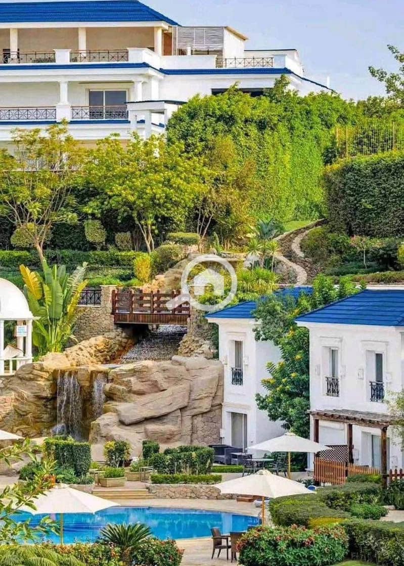 12 WhatsApp Image 2025-06-14 at 12.51. 29 AM. jpeg