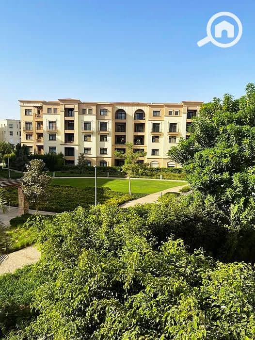 518251329_10233590273671080_723697596735827193_n. jpg