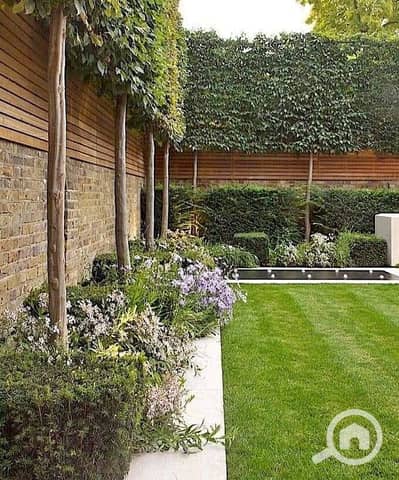 4 Bedroom Apartment for Sale in Heliopolis, Cairo - WhatsApp Image 2025-08-19 at 2.02. 31 PM. jpeg 4 Bedroom Apartment for Sale in Heliopolis, Cairo - WhatsApp Image 2025-08-19 at 2.02. 31 PM. jpeg