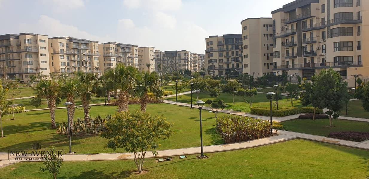 3 WhatsApp Image 2025-10-28 at 12.40. 28_a72adbaa. jpg