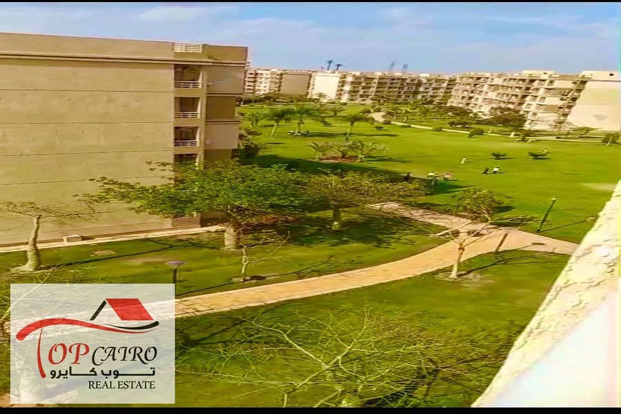 13 IMG-20251027-WA0087_1200x800. jpg