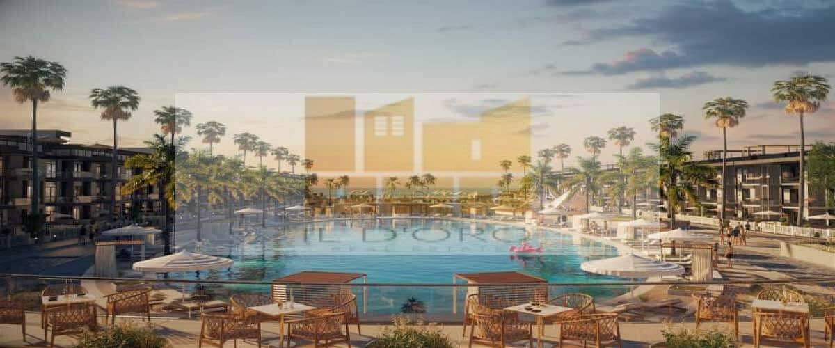 4 WhatsApp Image 2025-10-28 at 12.41. 24_a500a17e. jpg