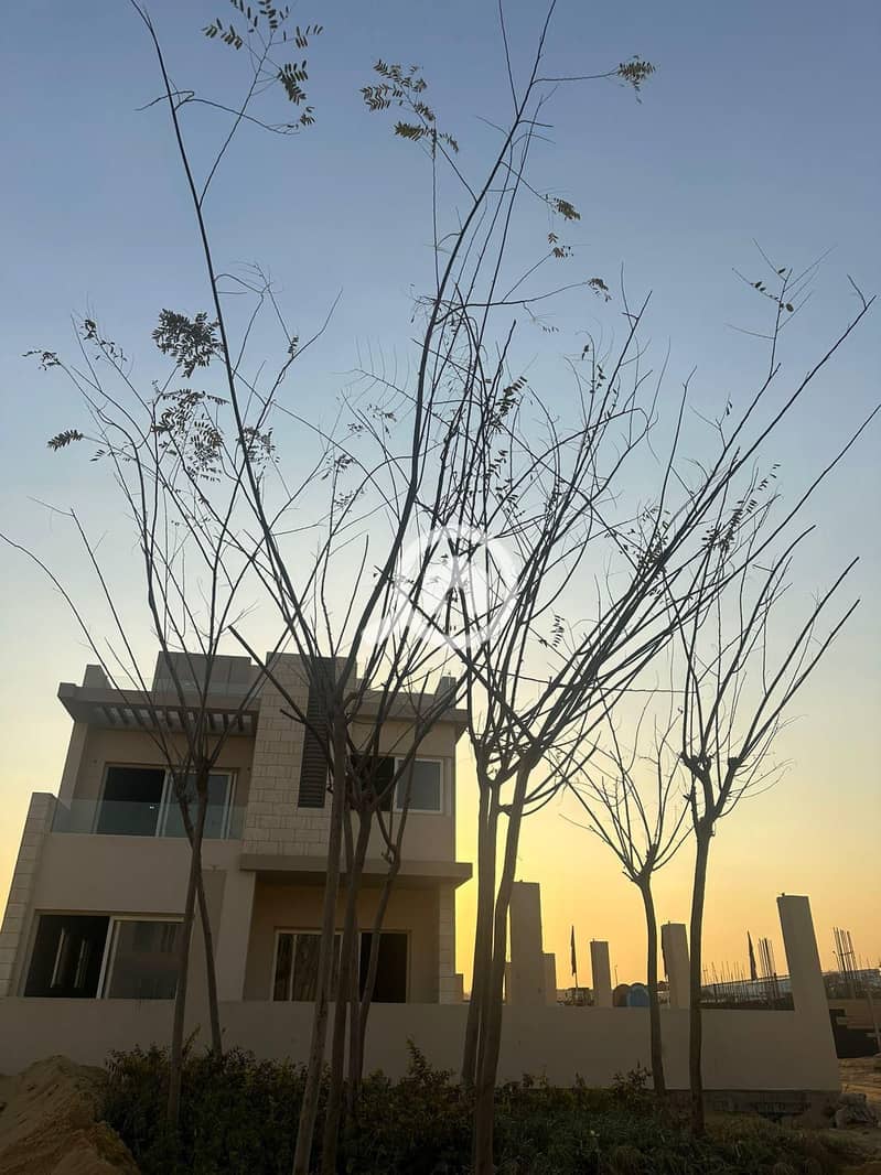 4 0c777687-32eb-467e-a5db-c3e5602851fd. jpg