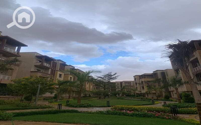 4 4a6237ba-e8b4-4308-aae8-1d4e3698c303. jpg