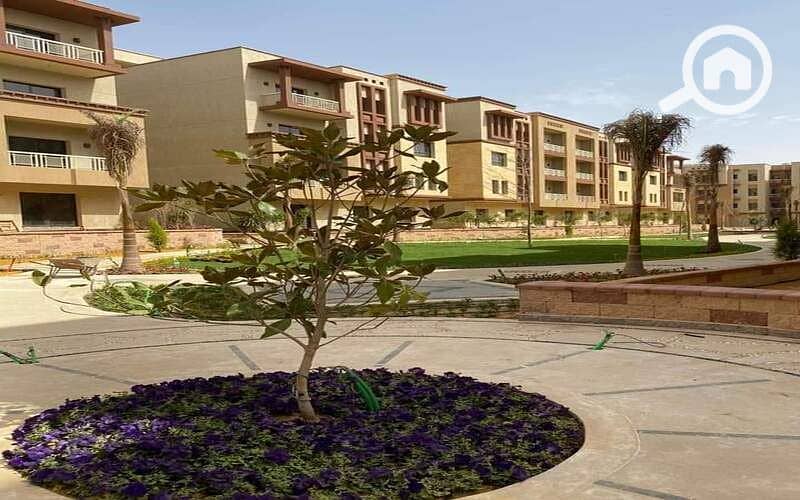 9 bfa43dbc-1a90-4374-9fc8-b63dfaaba018. jpg