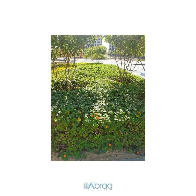 12 ead13b36-f4c4-47e3-9ea0-abce0ca8742a. jpg