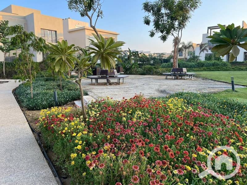 3 473f3777-db6f-4d40-9752-0effb18ce0fb. JPG