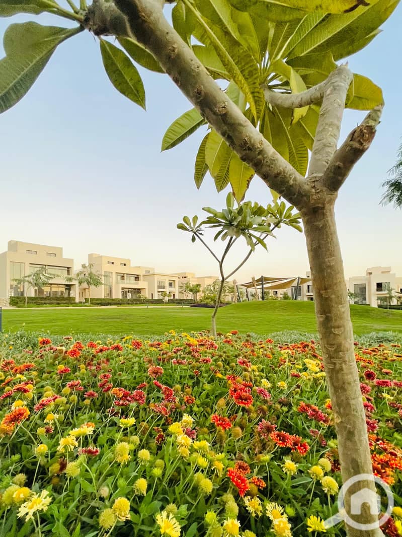 5 IMG-20241211-WA0010. jpg