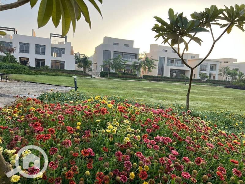 8 a915d768-0543-426a-b372-8a5c2eb43e94. JPG