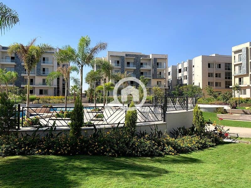 2 2020-02-07 (3). jpg