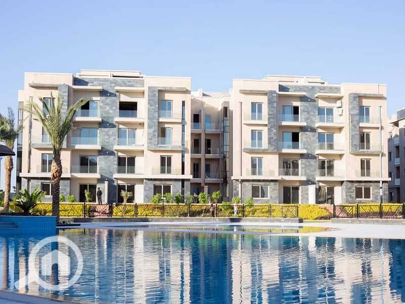 5 2019-01-13 (2). jpg