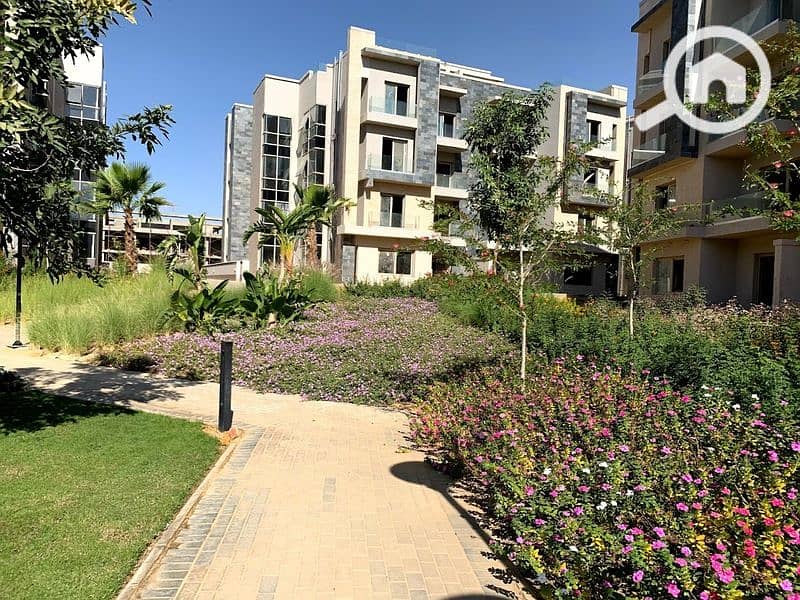 8 2020-02-07 (1). jpg