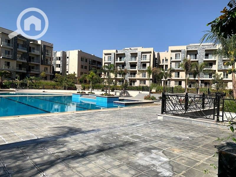 9 2020-02-07 (7). jpg