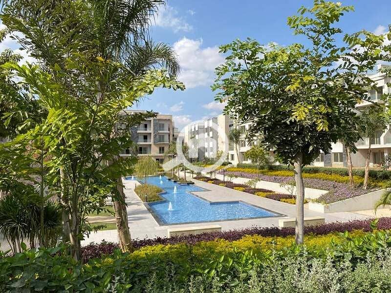 12 269601806_636651551091145_5156262922903923691_n. jpg