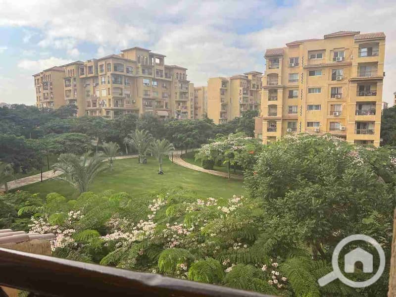 19 IMG_20251020_223416_584. jpg