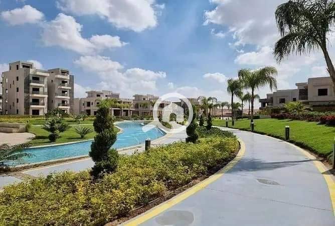 7 488263319_4014579095421805_3540523563948748119_n. jpg