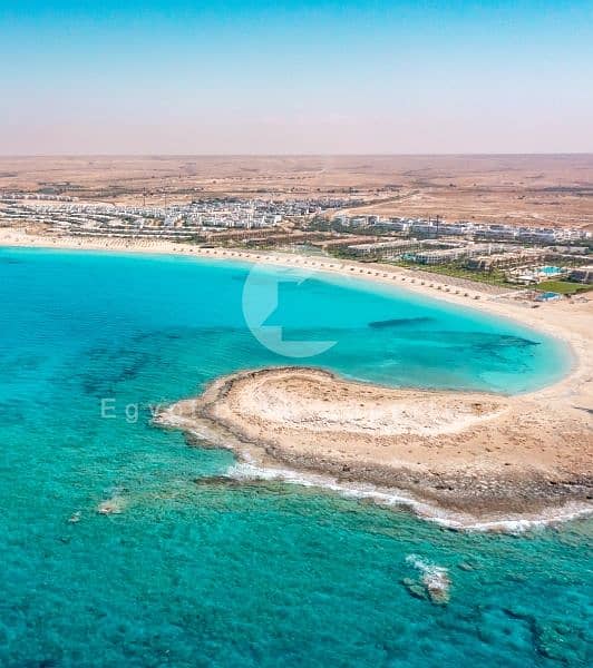 10 New-Project-18. jpg