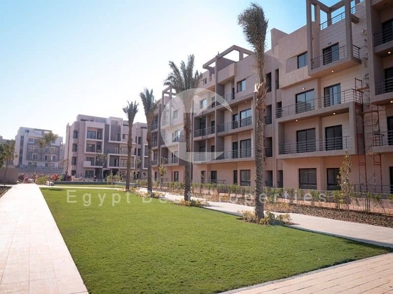 4 17f11412-57ce-4659-9e1b-2c065bce3928. jpg