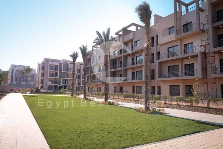 3 17f11412-57ce-4659-9e1b-2c065bce3928. jpg