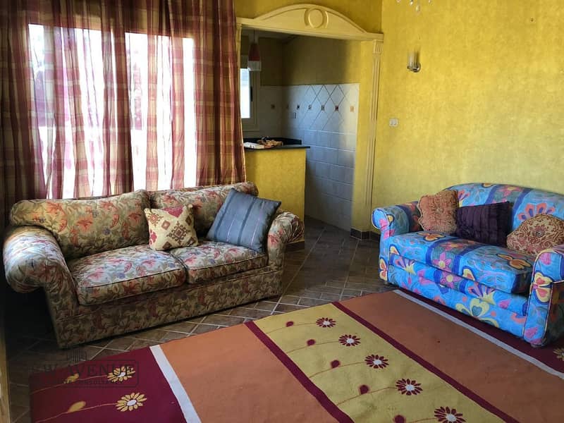 7 WhatsApp Image 2025-10-27 at 4.38. 13 PM (1). jpeg