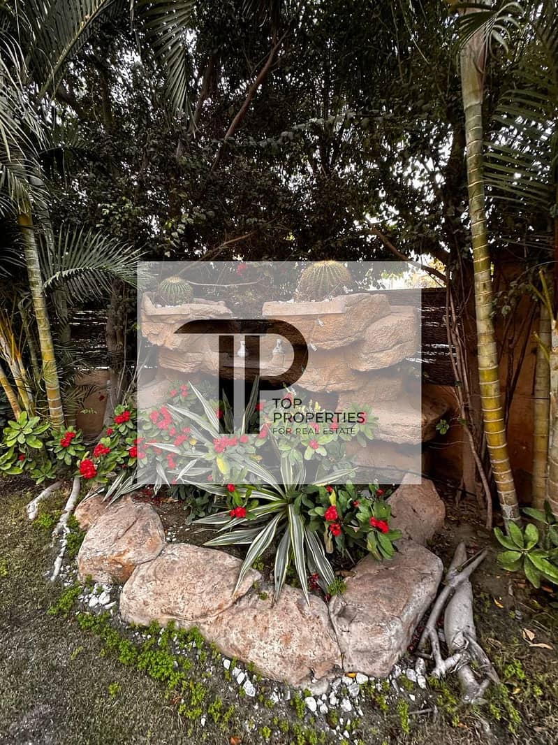 14 IMG-20251001-WA0041. jpg