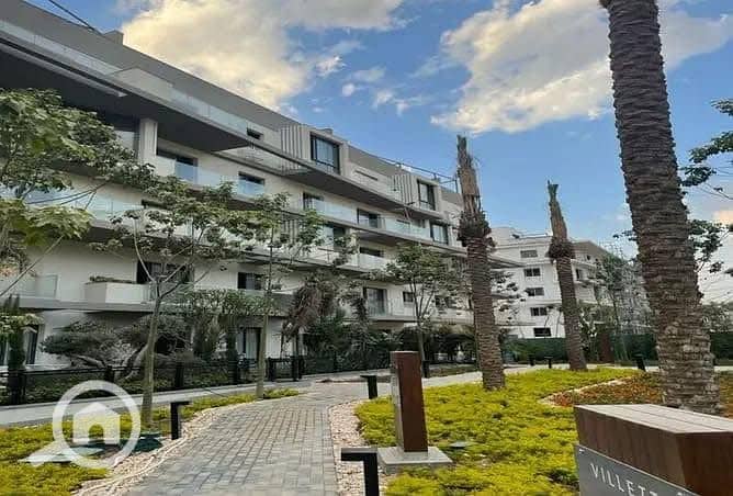 10 558018477_24505657922452566_4000469520225193282_n. jpg