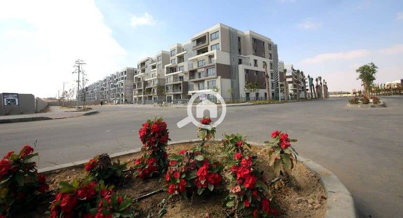 9 Screenshot 2025-09-29 142958. jpg