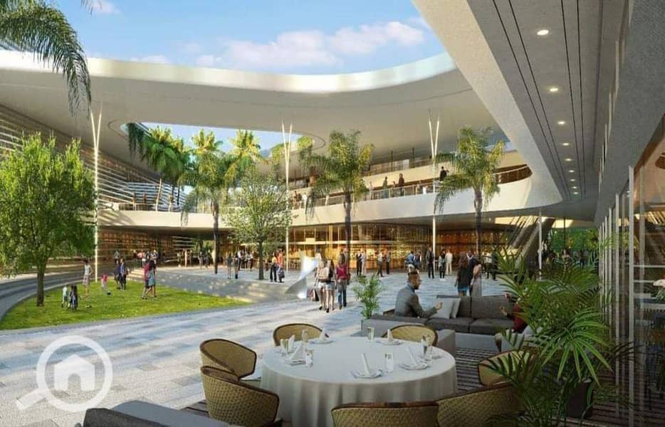 6 photo_2025-09-17_13-25-02. jpg