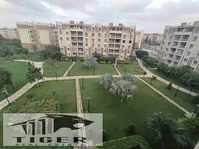 2 Bedroom Flat for Rent in Madinaty, Cairo - 1000050105. jpg
