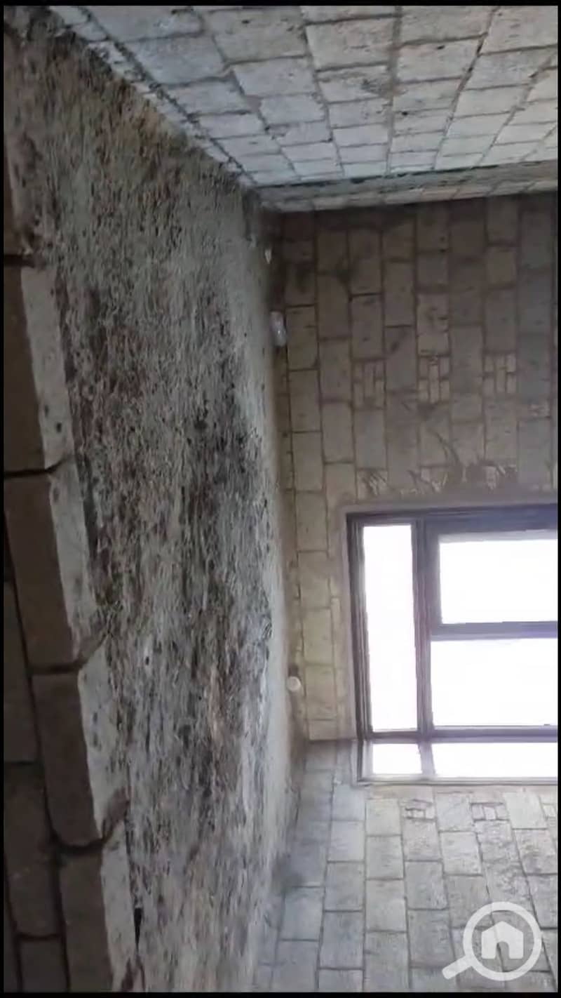 7 IMG-20251028-WA0049. jpg