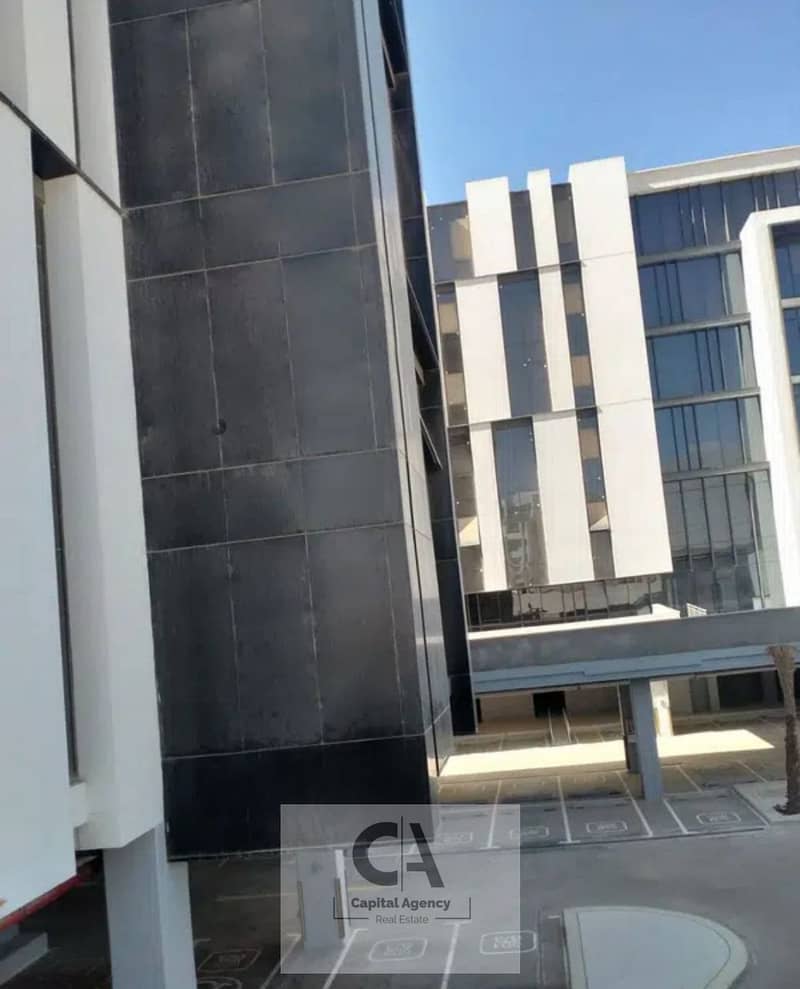 4 photo_2025-02-02_15-01-48. jpg