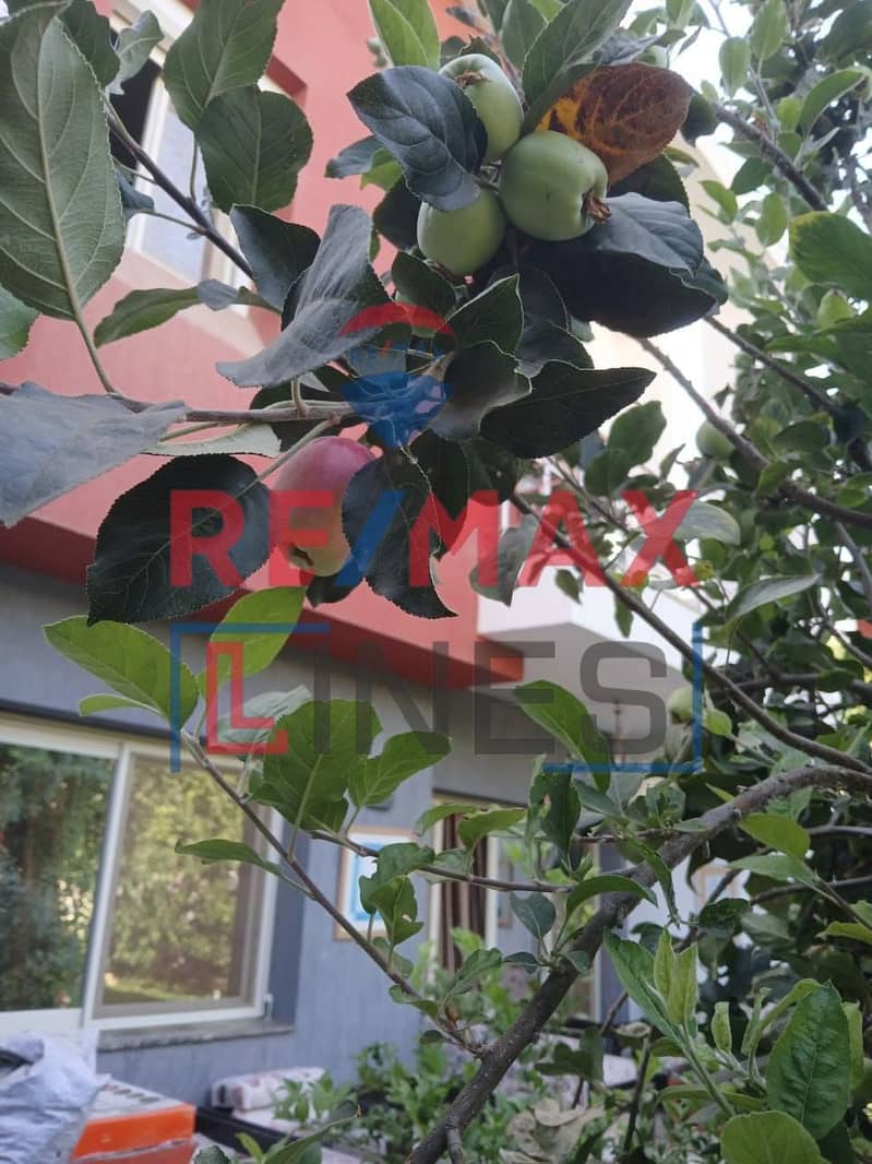 2 WhatsApp Image 2025-10-28 at 11.04. 19. jpeg