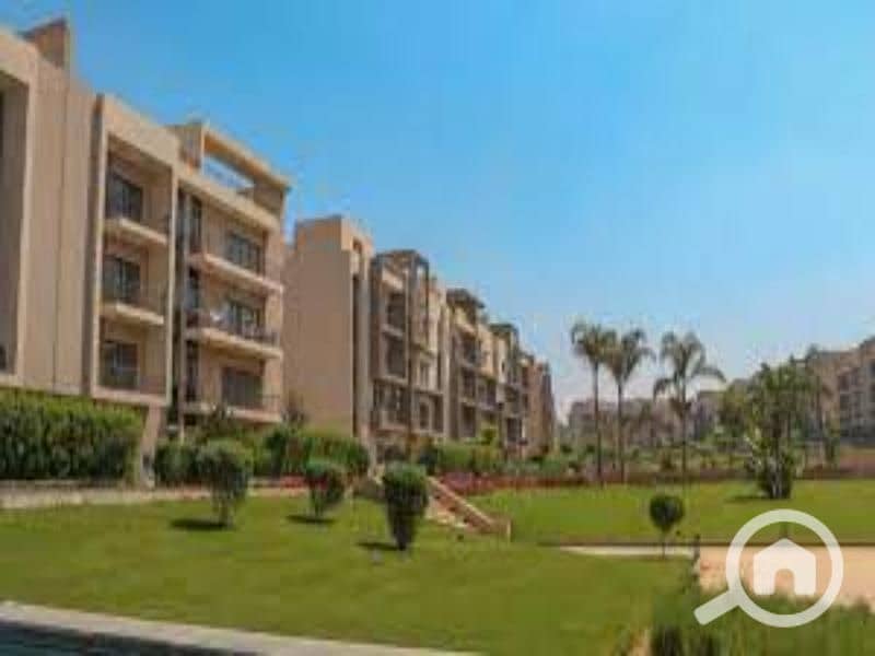 7 images (2). jfif. jpg