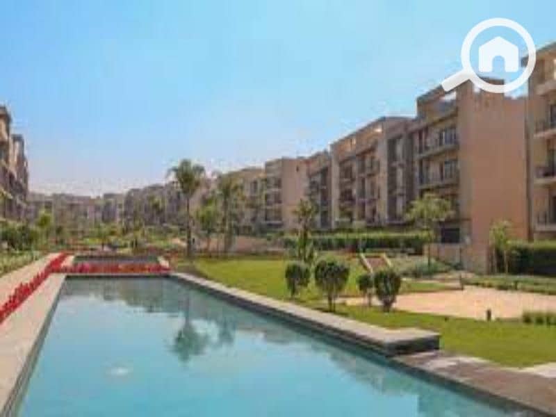 9 images (3). jfif. jpg