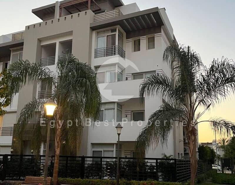 5 335f3a09-af5b-4b0b-8f2e-0407ac18b104. jpg