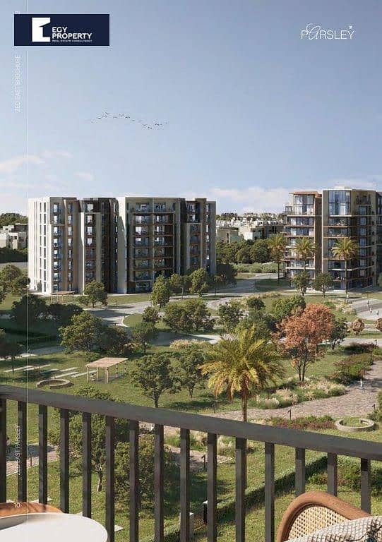 10 _files_Parsley-10. jpg