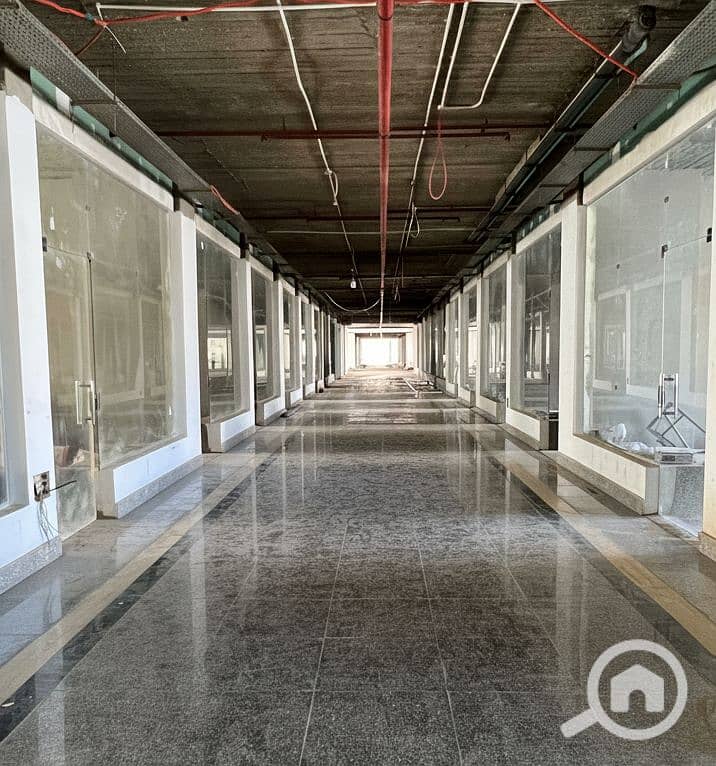 6 Generated Image September 15, 2025 - 2_26PM. png