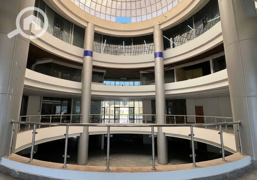 8 Generated Image September 23, 2025 - 2_06PM. png