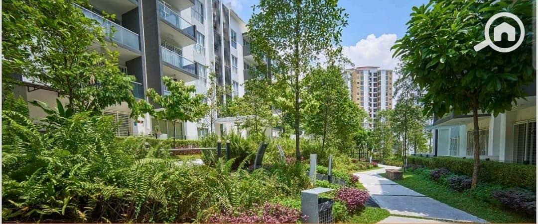 2 IMG-20250216-WA0013. jpg