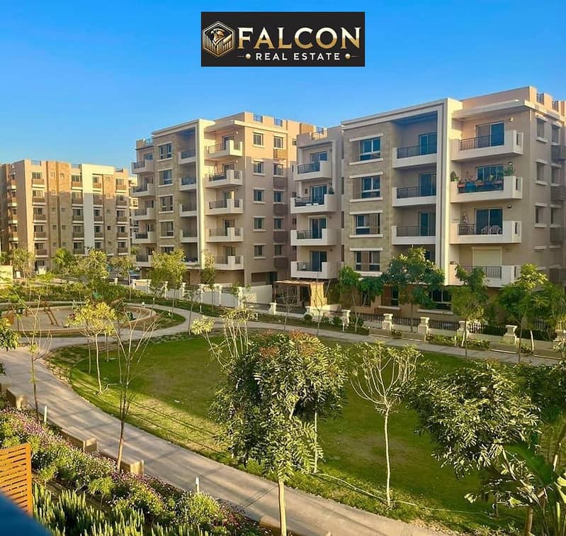 11 4581fcc7-2f45-4aa8-b0cb-f825730601c6. jpg