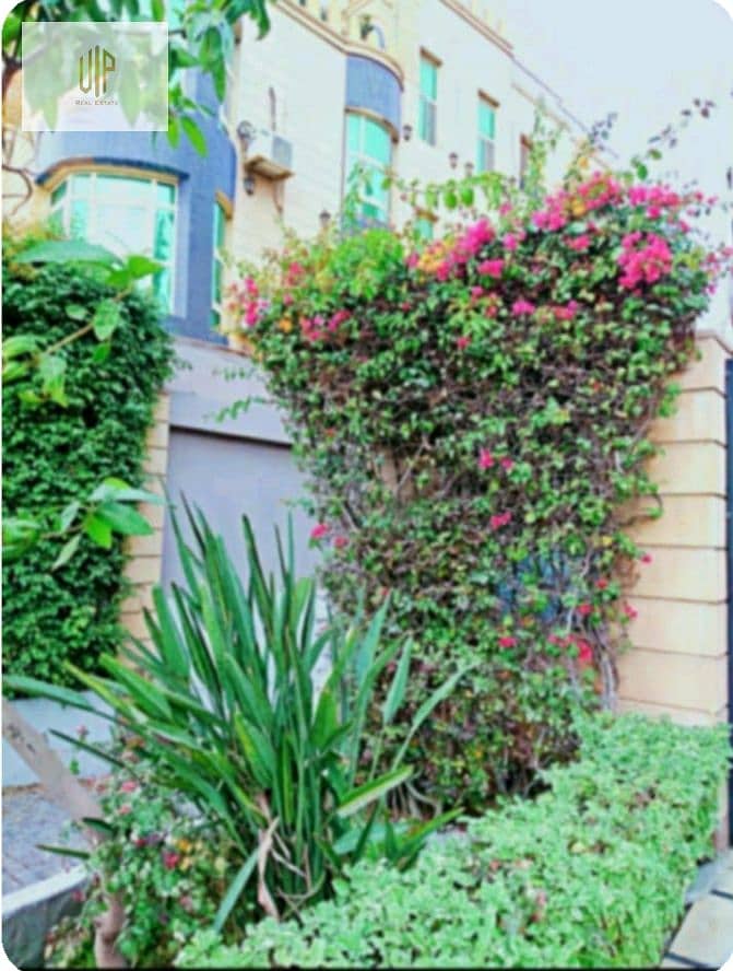 7 IMG-20251012-WA0371. jpg